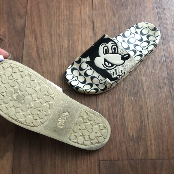 Coach slides - Picture 4 of 4